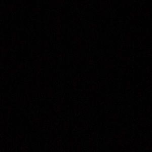 Meet your Posher, Regina